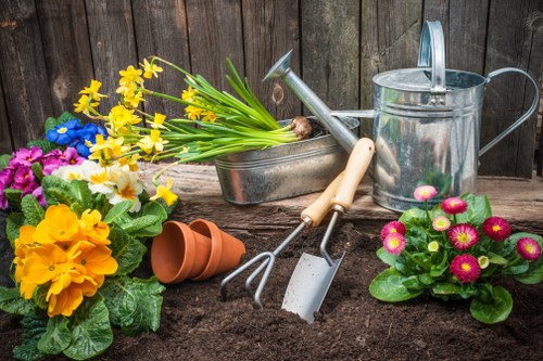 Maintenance tools for healthy Forest Gate landscape