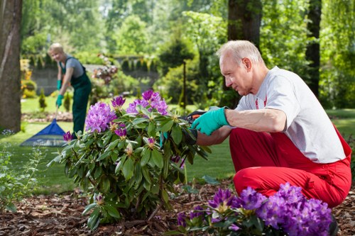 Illustration of screen-reader and accessibility icons next to gardening tools