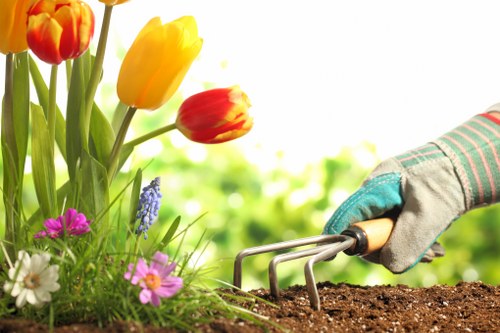 Lush plant selection for Forest Gate landscaping